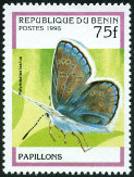 Stamp Y&T N710Q