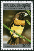 Stamp Y&T N1077