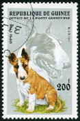 Timbre Y&T N�1081