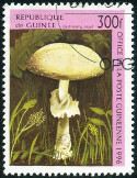 Timbre Y&T N�1095