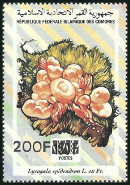 Timbre Comores (Archipel des) Y&T N596P