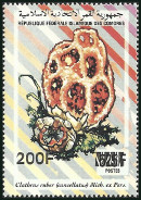 Timbre Comores (Archipel des) Y&T N596S