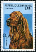 Briefmarken Y&T N744