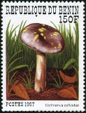Briefmarken Y&T N781