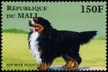 Briefmarken Y&T N1184