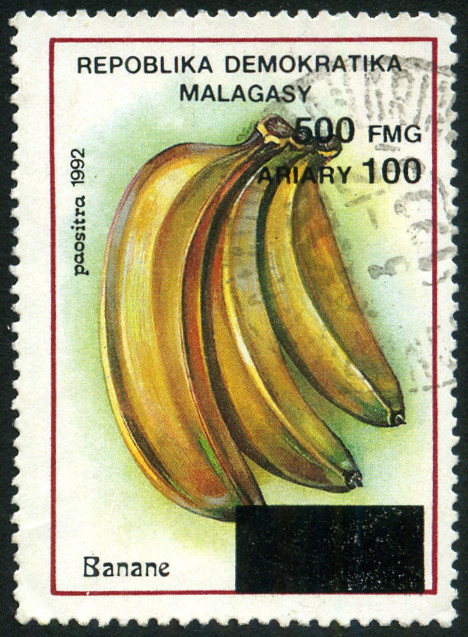 Timbre Madagascar Y&T N1998-mi-2113