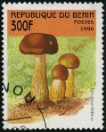 Briefmarken Y&T N800