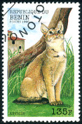 Timbre Y&T N844