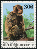 Stamp Y&T N1255W