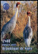 Timbre Y&T N�1055