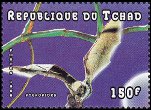 Timbre Y&T N925