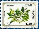 Briefmarken Y&T N1191