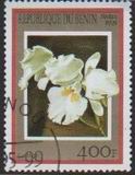 Stamp Y&T N896