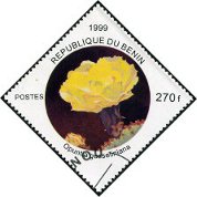 Timbre Y&T N937