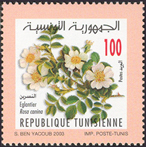 Timbre Y&T N1489