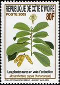 Timbre Y&T N�1245