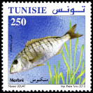 Timbre Y&T N1704