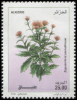 Timbre Y&T N�1736