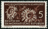 Stamp Y&T N286