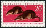 Timbre Y&T N584