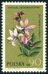 Timbre Y&T N1189