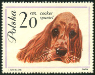 Timbre Y&T N1232