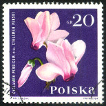 Stamp Y&T N1394