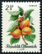 Stamp Y&T N1062