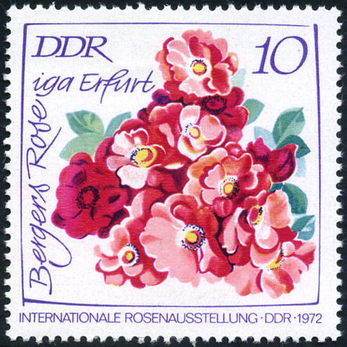 Timbre Allemagne orientale/R.D.A. (1950-1990) Y&T N1451