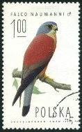 Timbre Y&T N2191