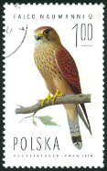 Timbre Y&T N2192
