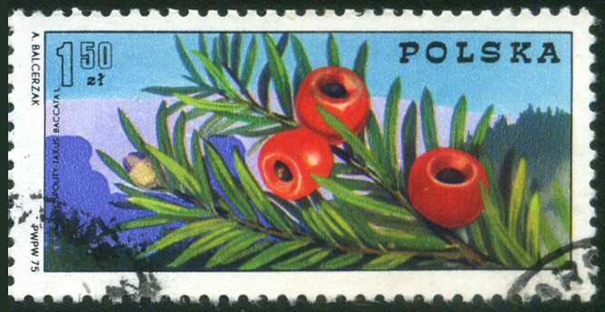 Timbre Pologne Y&T N�2211