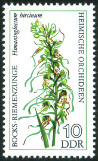 Timbre Y&T N1811