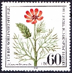 Timbre Y&T N592