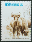 Timbre Y&T N2580