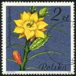 Timbre Y&T N2601