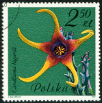 Timbre Y&T N2603