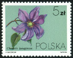 Timbre Y&T N2718