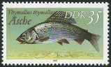 Timbre Y&T N2718