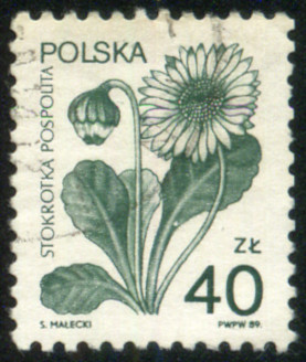  Sello Polska Y&T N�3024