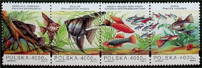 Timbre Pologne Y&T N°3297-3300 Timbre Pologne Y&T N°3297-3300