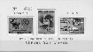 Stamp  Y&T NBF33