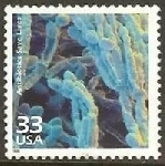 Timbre USA Y&T N2839