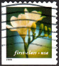 Stamp Y&T N3143