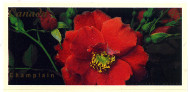 Stamp Y&T N1878