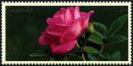 Stamp Y&T N1882