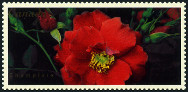Stamp Y&T N1884