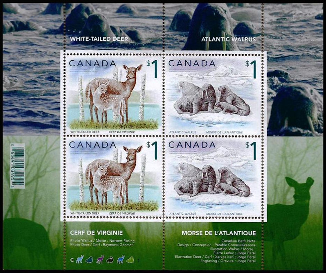 Timbre Canada Y&T NBF79