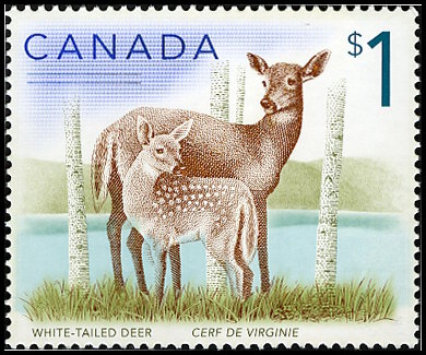 Timbre Canada Y&T N2182