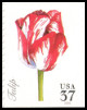 Stamp Y&T N3641